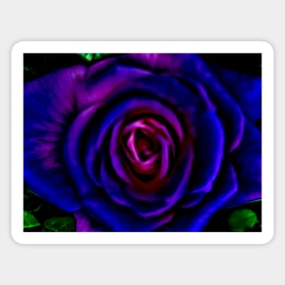 Rose Sticker